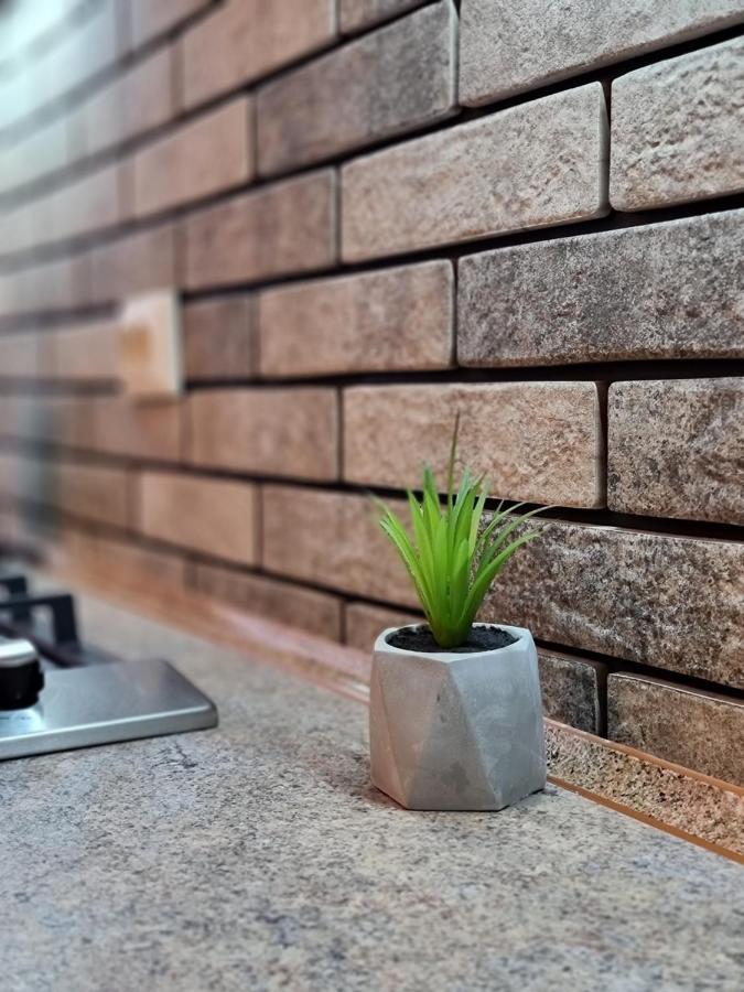 Petropavlivska Apartment Тиха Вуличка В Центрі Старого Міста Kamianets-Podilsky Extérieur photo